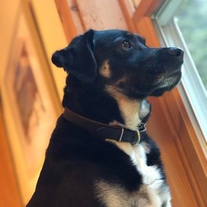 Meet your Posher, Austin